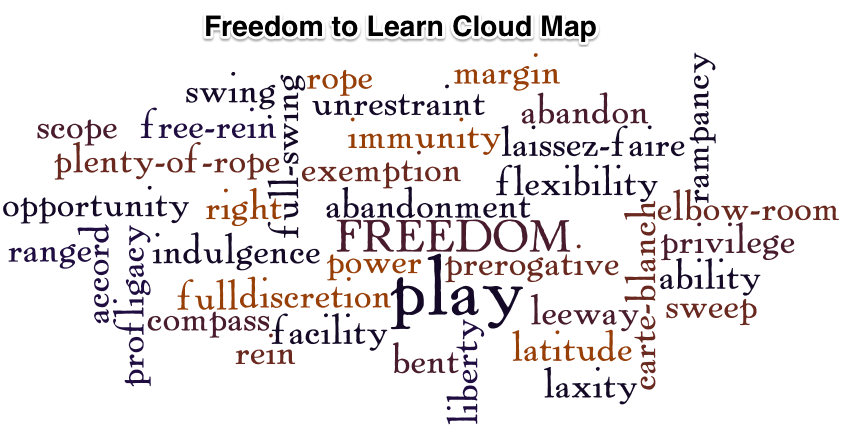Figure 1. The synonyms of the word freedom appearing from a search on thesaurus.com. Wordle, © 2013 Jonathan Feinberg